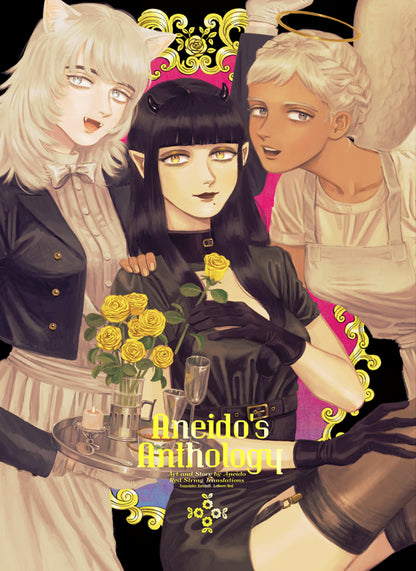 Aneido's Anthology Box Set (Standard Edition)