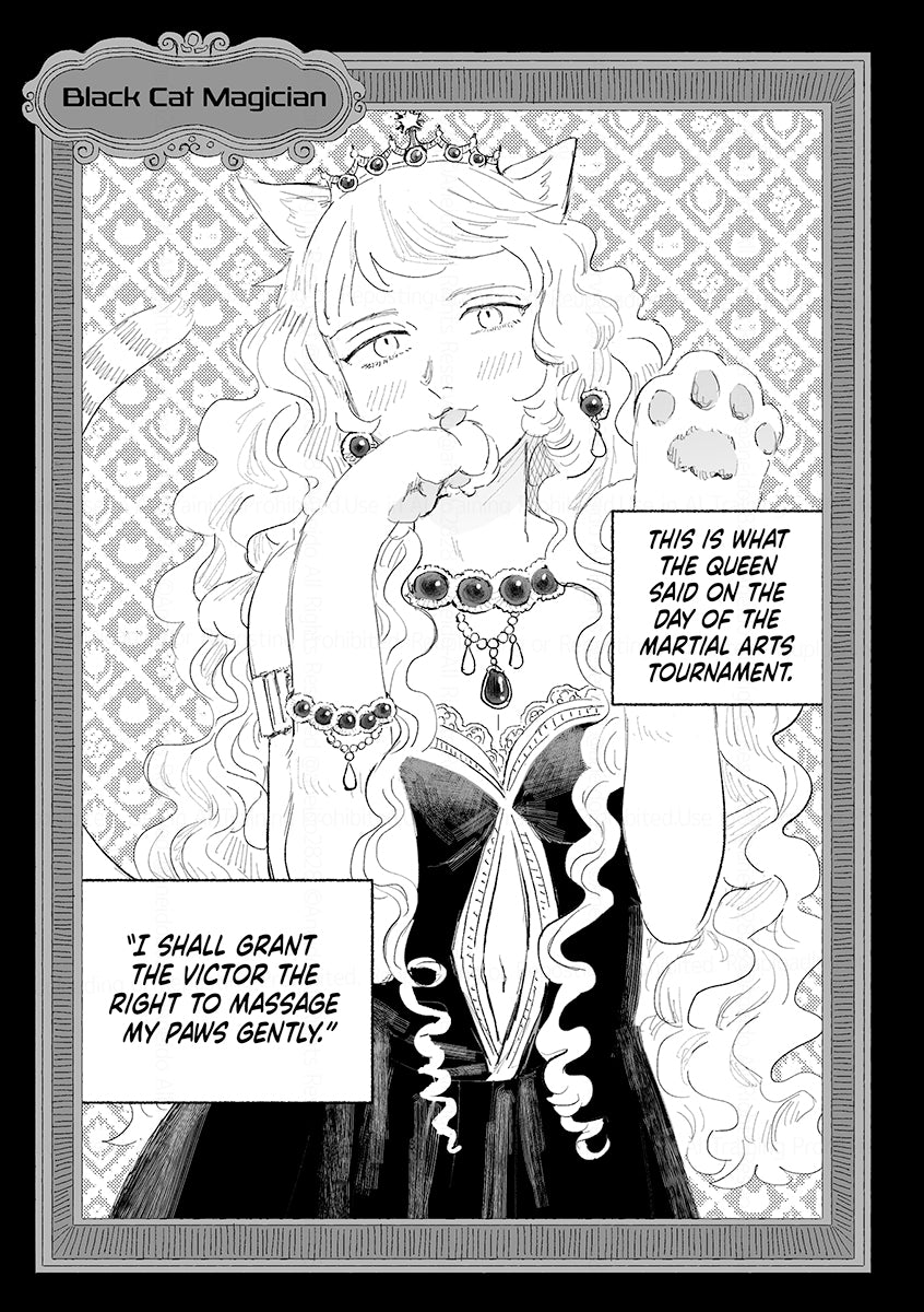 Aneido's Anthology Box Set (Standard Edition)